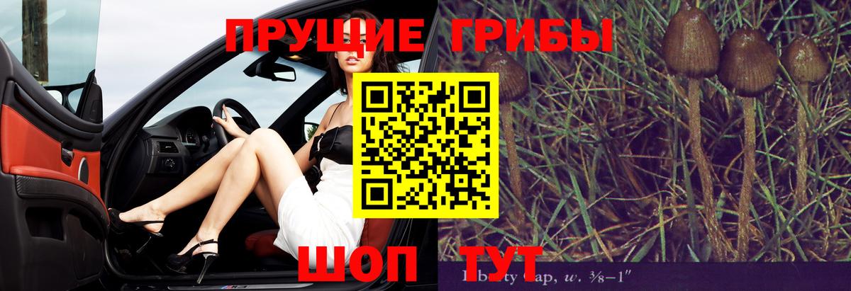 Псилоцибиновые грибы прущие грибы  наркота  Знаменск  Галлюциногенные грибы MAGIC MUSHROOMS  Вход с VPN 